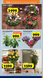 ALDI akciós újság hét 46 Oldal 11