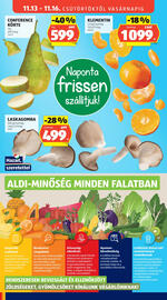ALDI akciós újság hét 46 Oldal 9