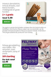 Intratuin folder week 46 Pagina 15