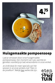 Intratuin folder week 46 Pagina 17