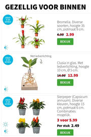 Intratuin folder week 46 Pagina 2