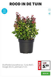 Intratuin folder week 46 Pagina 3