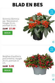 Intratuin folder week 46 Pagina 4