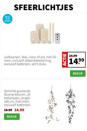 Intratuin folder week 46 Pagina 8