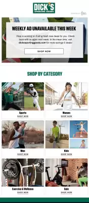 Dick's Sporting Goods weekly ad (valid until 11-11)