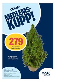 Coop Marked kundeavis Side 7