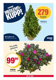 Coop Extra kundeavis uke 46 Side 19