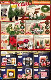 Norma Prospekt woche 47 Seite 14