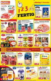 Norma Prospekt woche 47 Seite 8