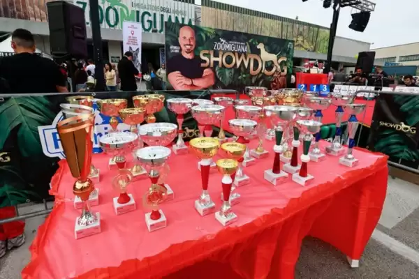 Volantino Zoomiguana (valido fino al 23-11)