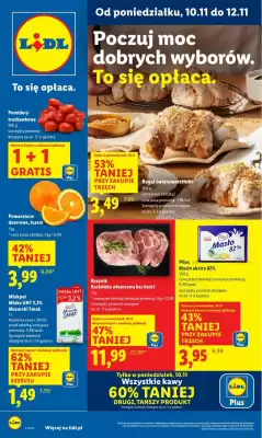 Lidl gazetka (ważność do 12-11)