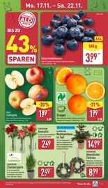 Aldi Nord Prospekt woche 47 Seite 3