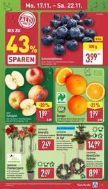Aldi Nord Prospekt woche 47 Seite 3