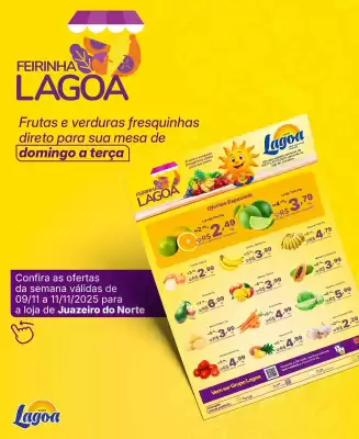Encarte Super Lagoa (válido até 11-11)