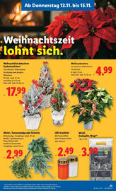Lidl Flugblatt woche 46 Seite 25