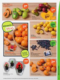 Tegut Prospekt woche 46 Seite 5