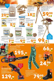 Globus Baumarkt Prospekt Seite 9