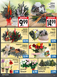 EDEKA Hahner Prospekt Seite 8