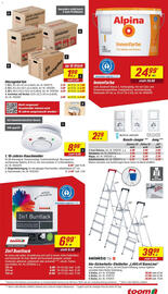 Toom Baumarkt Prospekt woche 46 Seite 11