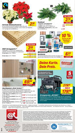 Toom Baumarkt Prospekt woche 46 Seite 20