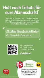 REWE Kaufpark Prospekt woche 46 Seite 33