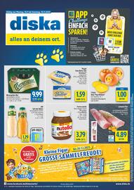Diska Prospekt woche 46 Seite 1