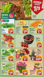 REWE Prospekt woche 46 Seite 7