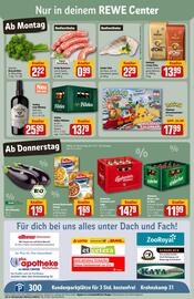 REWE Center Prospekt woche 46 Seite 3