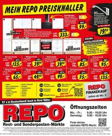 Repo Markt Prospekt woche 46 Seite 21
