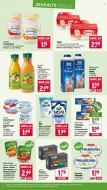 Wasgau Prospekt woche 46 Seite 8