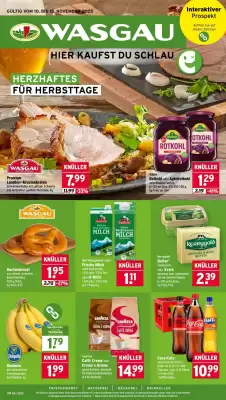 Wasgau Prospekt (gültig bis 15-11)