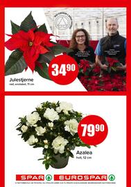 Spar kundeavis Side 15