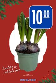 Rema 1000 kundeavis uke 46 Side 15