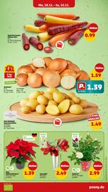 PENNY DE folder week 46 Pagina 3