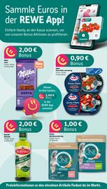 Rewe DE folder week 46 Pagina 2