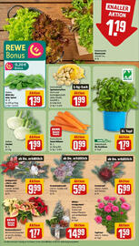 REWE Prospekt woche 46 Seite 7