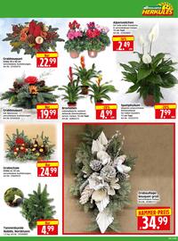 Herkules Baumarkt Prospekt woche 46 Seite 3