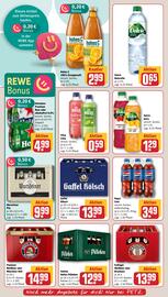 REWE PETZ Prospekt woche 46 Seite 16