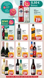 REWE PETZ Prospekt woche 46 Seite 17