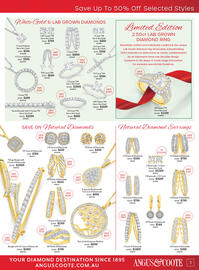 Angus & Coote catalogue Page 3