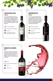 Volantino ALDI Pagina 21