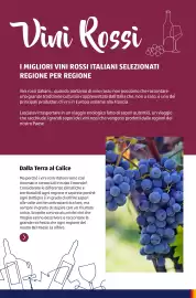 Volantino ALDI Pagina 8