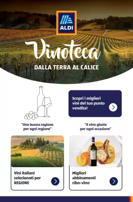 Volantino ALDI (valido fino al 26-12)