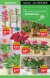 Biedronka gazetka tydzień 46 Strona 19