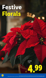 Lidl weekly ad week 46 Page 28