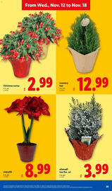 Lidl weekly ad week 46 Page 29