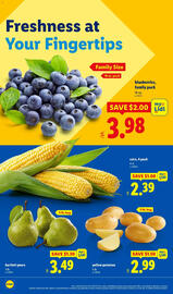 Lidl weekly ad week 46 Page 4