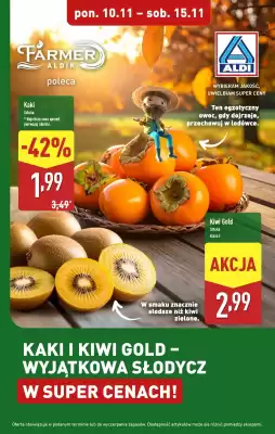 ALDI gazetka (ważność do 15-11)