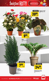 Polomarket gazetka tydzień 46 Strona 19