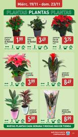 Folleto ALDI semana 47 Página 17